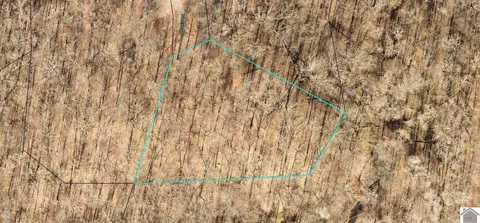 lot90 Bayview Dr, New Concord, KY 42076