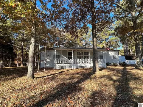164 Joy Ln, New Concord, KY 42076