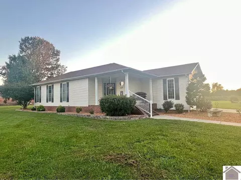224 St Rt 1820, Cunningham, KY 42035