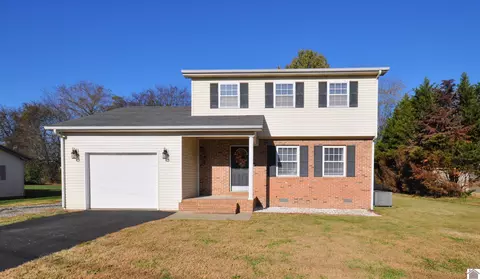 451 Golden Meadow Ln, Ledbetter, KY 42058