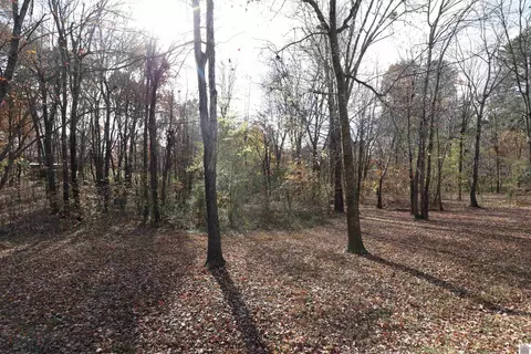 lot25 Impala Rd, Gilbertsville, KY 42044