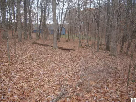 25 Timberway Dr, Cadiz, KY 42211