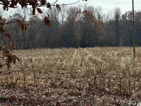 000 Blue Jay Dr, Kirksey, KY 42054