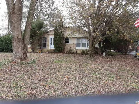 1285 E St Rt 339, Sedalia, KY 42079