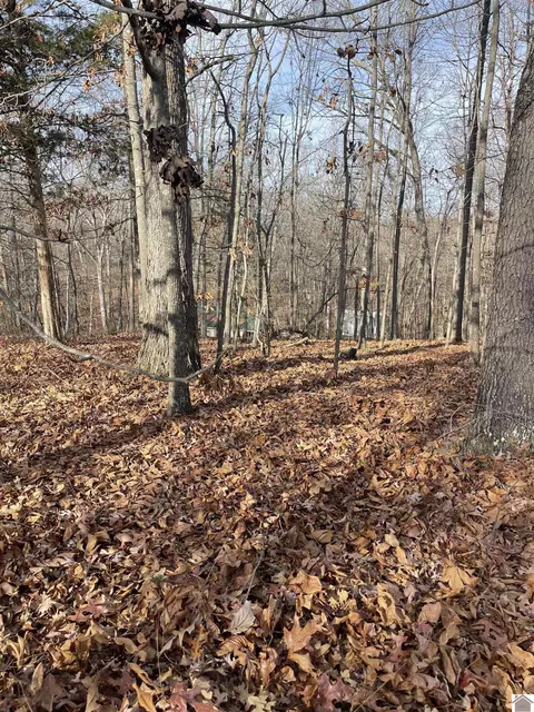 000 Smallman Ln, Murray, KY 42071