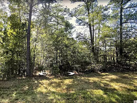 00 Rowlett Trl, Murray, KY 42071