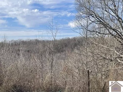 00 Poplar Creek Rd, Kuttawa, KY 42055