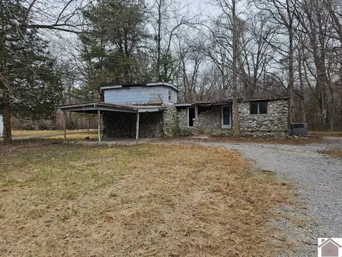 321 Golden Meadow Dr, Ledbetter, KY 42058