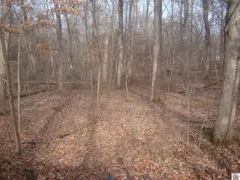 280 Rockcastle Lake Shore Dr, Cadiz, KY 42211