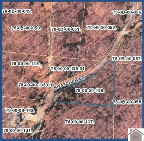 1 64 Acres On Bratcher Ln, Benton, KY 42025
