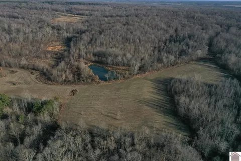 3975 Bethlehem Church Rd, Wickliffe, KY 42087