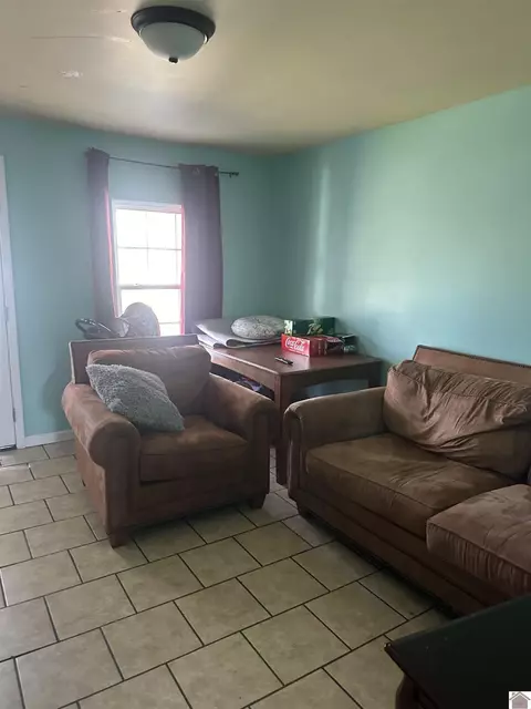 702 E South, Mayfield, KY 42066 photo 2