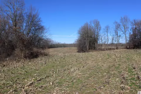 000 Cr 1141, Fancy Farm, KY 42039