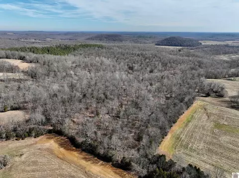 000 Travis Cemetery Rd, Marion, KY 42064