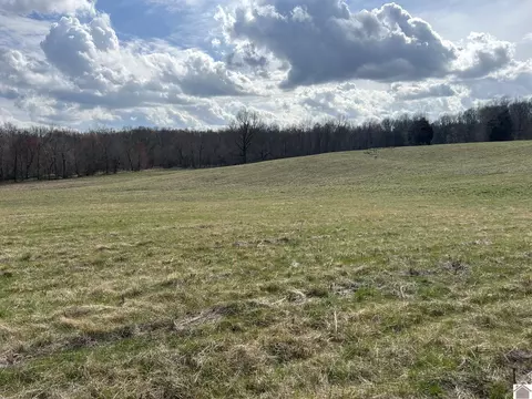 824 Walnut Rd, Boaz, KY 42027 photo 5