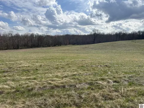 824 Walnut Rd, Boaz, KY 42027 photo 6