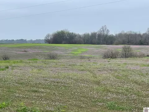000 Meridian Rd, Hickory, KY 42051
