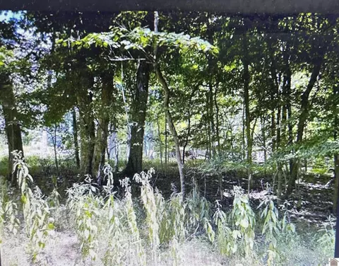 lot28 Randy Dr, Cadiz, KY 42211