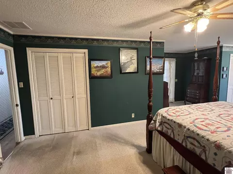 416 Construction Dr, Mayfield, KY 42066 photo 19