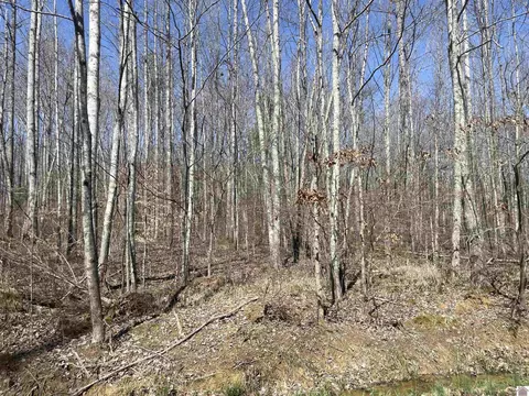 River Road, Murray, KY 42071