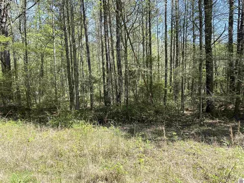 Baywood Vista Drive, Murray, KY 42071