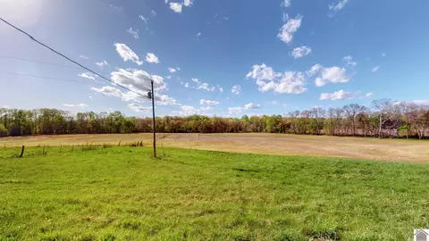 00 Mcelrath Rd, Dexter, KY 42036