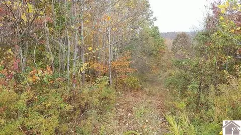 280 Pennington, Olive Hill, KY 41164