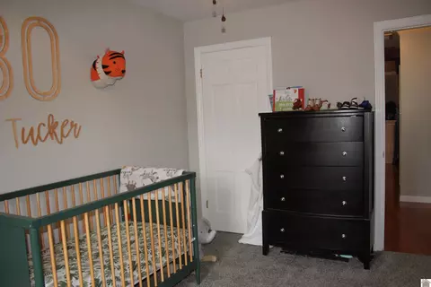 204 Erwin Dr, Mayfield, KY 42066 photo 24
