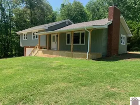 5305 St Rt 849, Melber, KY 42069