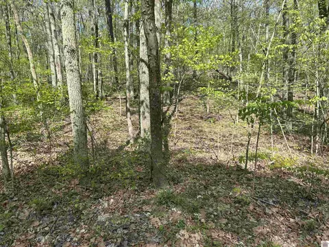 00 Forest Dr, Benton, KY 42025