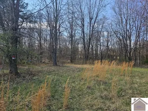 307 Ball Park Loop, Ledbetter, KY 42058