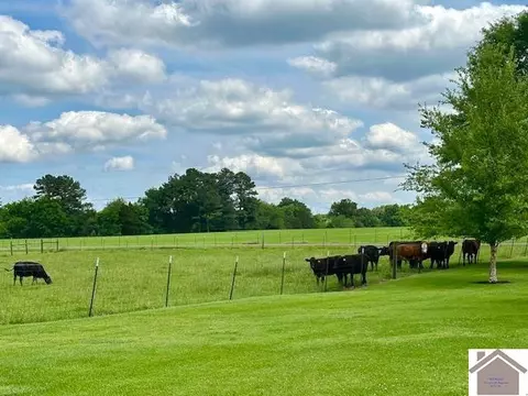 1340 Cherry Corner Rd, Murray, KY 42071 photo 32