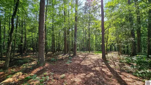 463 Bandarra, Murray, KY 42071