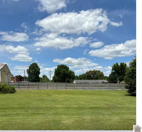 0 Hicks Ln, Ledbetter, KY 42058
