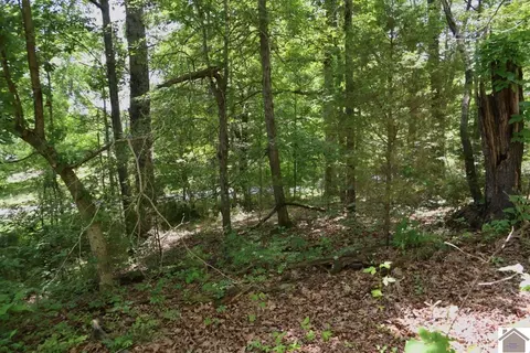 000 Cotton Patch Rd, Marion, KY 42064 photo 24