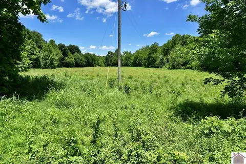 000 Cotton Patch Rd, Marion, KY 42064 photo 30