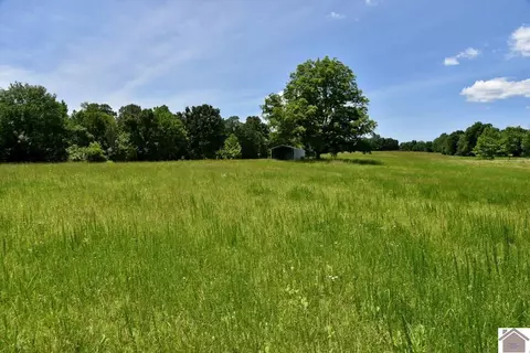 000 Cotton Patch Rd, Marion, KY 42064 photo 13