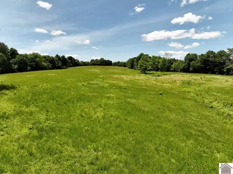 000 Cotton Patch Rd, Marion, KY 42064 photo 10