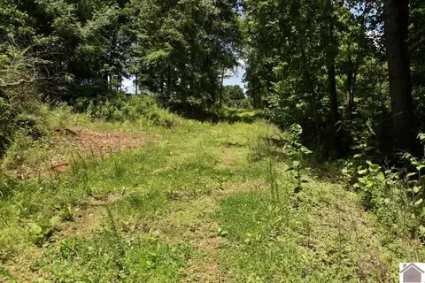 000 Cotton Patch Rd, Marion, KY 42064 photo 5