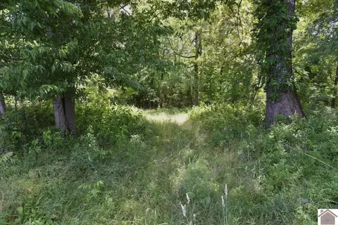 000 Cotton Patch Rd, Marion, KY 42064 photo 26