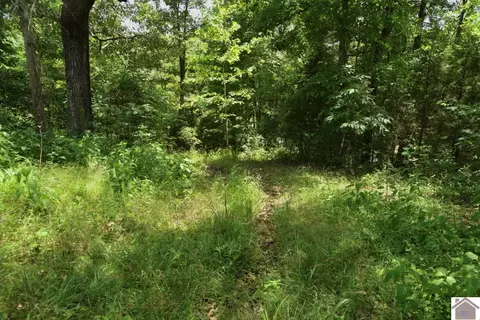 000 Cotton Patch Rd, Marion, KY 42064 photo 23