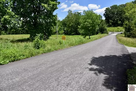 000 Cotton Patch Rd, Marion, KY 42064 photo 35