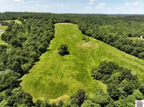 000 Cotton Patch Rd, Marion, KY 42064 photo 8