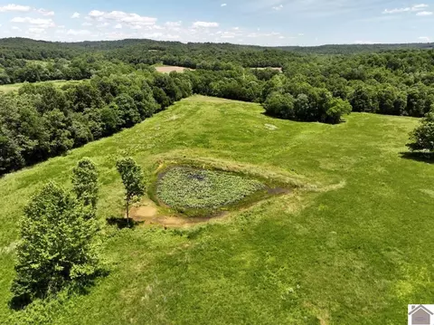 000 Cotton Patch Rd, Marion, KY 42064 photo 11