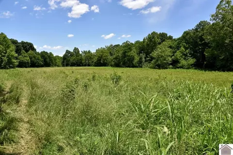 000 Cotton Patch Rd, Marion, KY 42064 photo 31