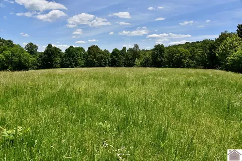 000 Cotton Patch Rd, Marion, KY 42064 photo 19