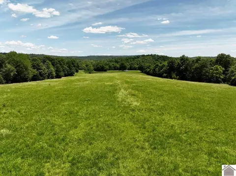 000 Cotton Patch Rd, Marion, KY 42064 photo 20