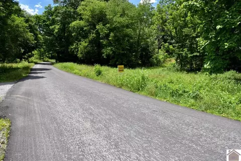 000 Cotton Patch Rd, Marion, KY 42064 photo 4