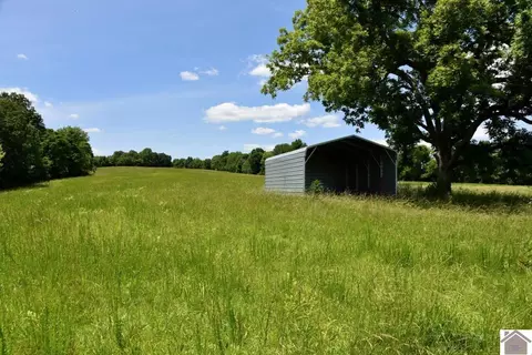 000 Cotton Patch Rd, Marion, KY 42064 photo 16