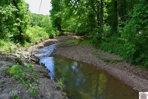 000 Cotton Patch Rd, Marion, KY 42064 photo 25